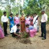 අලුගු අවුරුදු සැමරුම - 2020